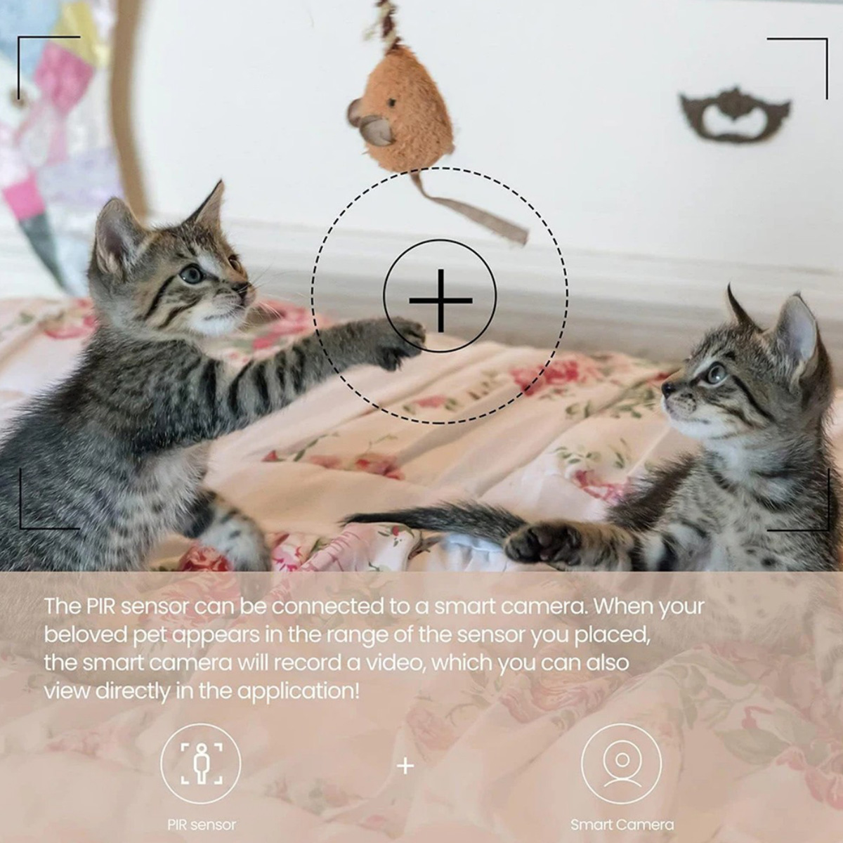 Capteur de mouvement PIR ZigBe - Home Security Systems Wireless avis et prix